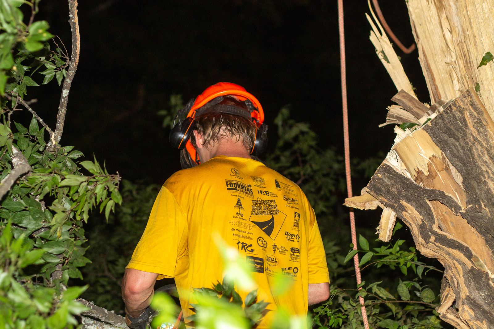 Night tree work beside a splintered trunk