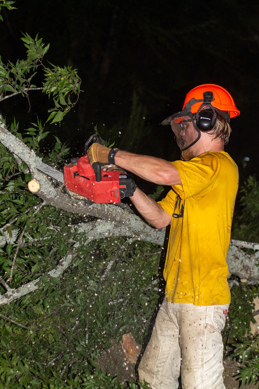 An arborist cutting a limb with a chainsaw at night